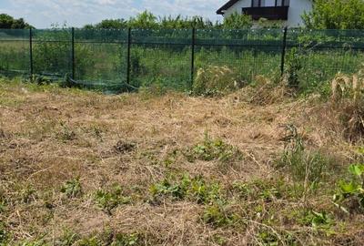 Casă individuală cu 4 camere cu Teren 500 Mp în Dascălu - 10