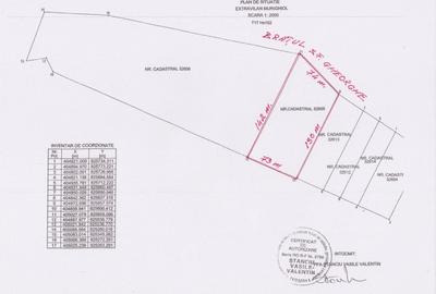 Teren Construcții intravilan de 10000 mp, în Murighiol - 6