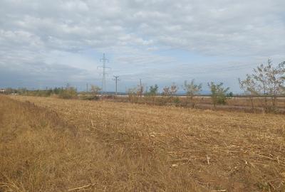 Teren Construcții intravilan de 9844 mp, în Dumbrava - 3
