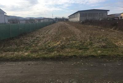 Teren de 1200 mp, în Central