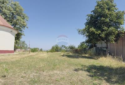 Teren 2,841mp Apateu / Strada Principala langa Biserica Ortodoxa - 6