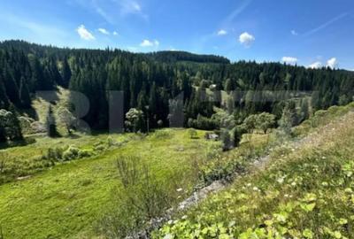 Teren de 6941 mp, în Central - 2