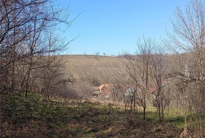 Casă cu 2 camere cu Teren 1439 Mp în Brădișoru de Jos - 3