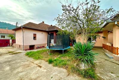 Două case la curte comuna, 700mp teren, Bocșa Montană (Str Reșiței) - 16