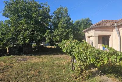 Casă în Turnu Măgurele - 9