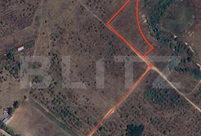 Teren de 4969 mp, în Central - 2