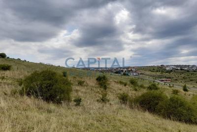 Oferta speciala! Teren intravilan, 9 400 mp, oportunitate de investitie! - 2