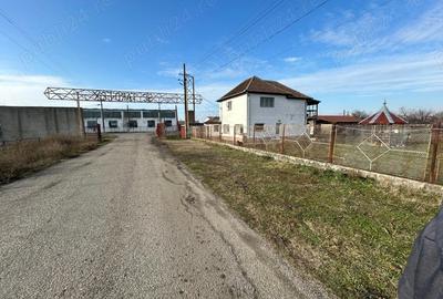 Spațiu comercial, de 7,000 mp, în Central - 10