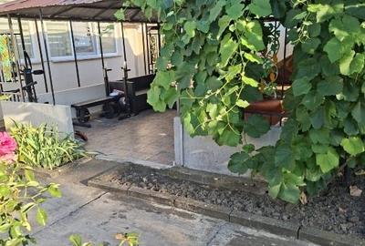 Vand casa Becicherecu-mic - 6