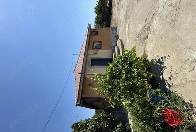 Casa de vanzare in sat Pietreni , jud Constan?a - 6