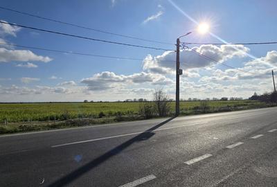 Teren 3,8 ha in Vama Veche pe partea cu marea, la 300 ml de granita - 4
