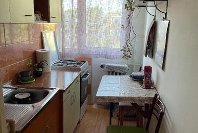 Apartament 2 camere, Malu Rosu - 4