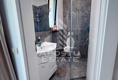 Jumatate de duplex de inchiriat Dumbravita Pet frendly - 13