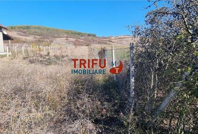 Teren 1600 mp de vanzare in comuna Ciugud cu toate utilitatile - 2