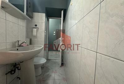 Apartament cu 2 camere, mobilat în Tipografilor - 12