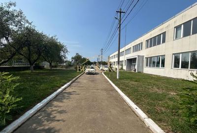 BG73-Hală industrială cu teren 10.000 mp - 2