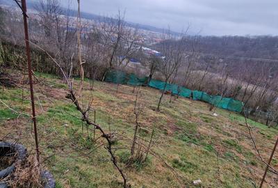 Spațiu comercial, în Central - 1