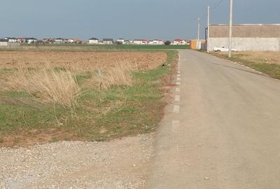 Teren Construcții intravilan de 1000 mp, în Dragomirești-Vale - 6