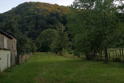 Vand casa batraneasca ?i teren 2500 mp la munte langa barajul Valea Uzului. - 6