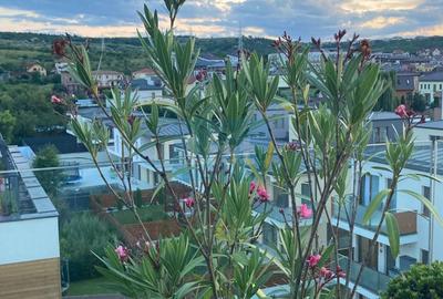 Apartament cu 3 camere semidecomandat, mobilat în Borhanci - 15