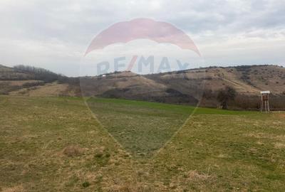 Teren Construcții de 3400 mp, în Crișeni - 1