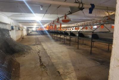 Spațiu comercial, de 2,716 mp, în Grădiște - 3