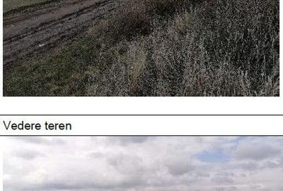 Teren extravilan Tiganasi, cota parte 1/5, ID: R2822453 - 2