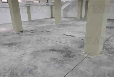 Spatiu Depozitare- 340 mp- Prelungirea Ghencea- Lidl- Secto - 7