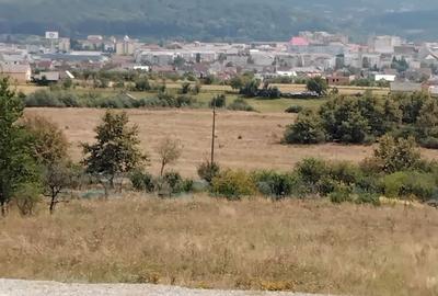 Spațiu comercial, în Central