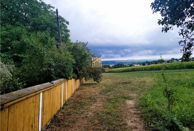 Casă cu 3 camere cu Teren 7000 Mp în Zvoriștea - 15