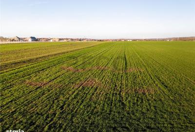 Spațiu comercial, în Biharia - 5