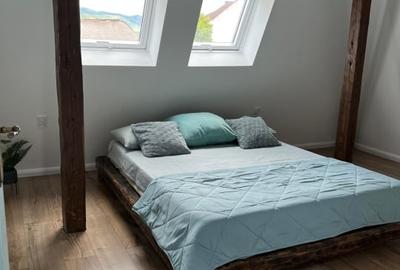 Oportunitate! Duplex de vanzare, centrul vechi, Vasile Lucaciu - 4