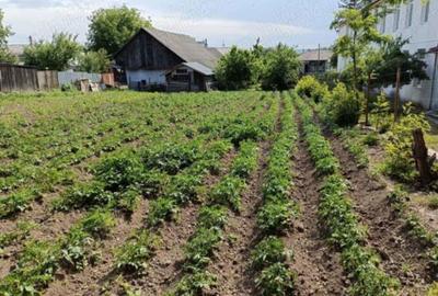 Casă cu 4 camere în Mihăileni - 1
