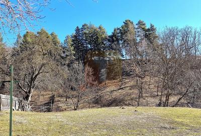 Casă individuală cu 5 camere cu Teren 2135 Mp în Alexandru cel Bun - 3