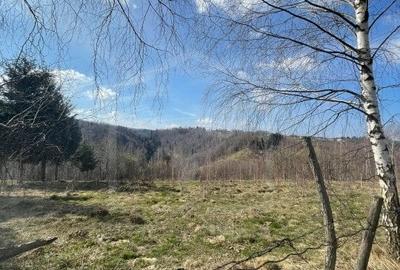 Teren cu panorama pentru cabana, Risca, Valea Fericirii - 2