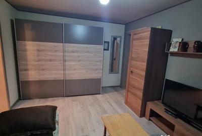 Apartament cu 2 camere semidecomandat, mobilat în Brazda lui Novac - 12
