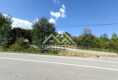Teren  construibil ,la sosea, intre Vale si Sibiel, zona cu potential - 4