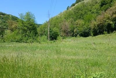 Teren de 3848 mp, în Central - 2