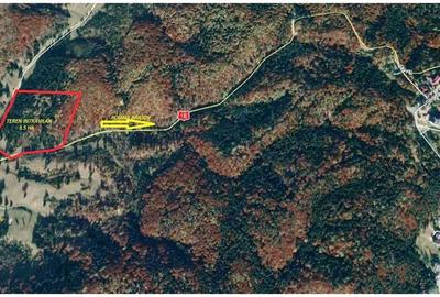 Teren intravilan Poiana Brasov  Poiana Cristianului - 2