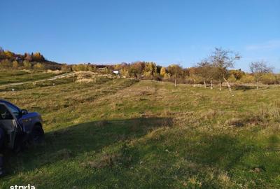 Spațiu comercial, în Voila - 9