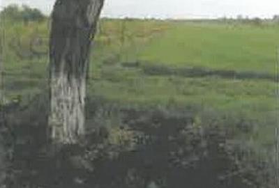 Teren de 1200 mp, în Pietroasele - 11