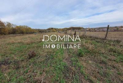 Teren de 4967 mp, în Bălești - 8