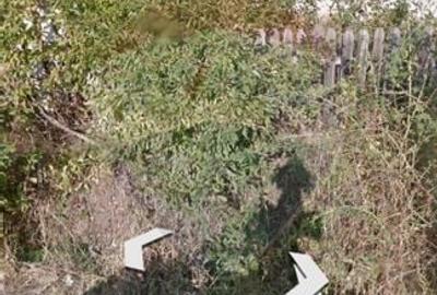 Teren 1,205mp Falticeni / Strada Pictor Baiesu - 2