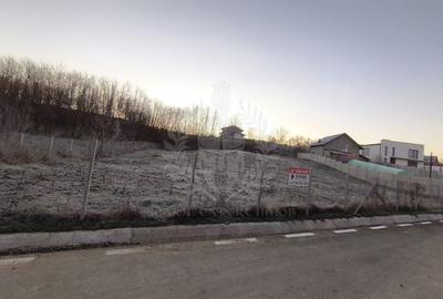 TEREN INTRAVILAN//COM. PLOPU//1300//2700 MP - 6