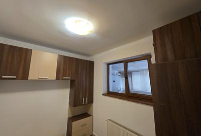 Ion Mihalache-Domenii - 3