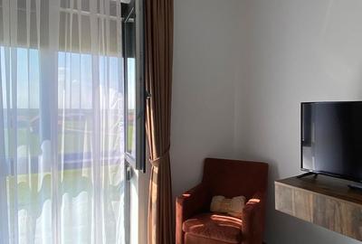 Apartament cu 2 camere în Băile Felix - 7