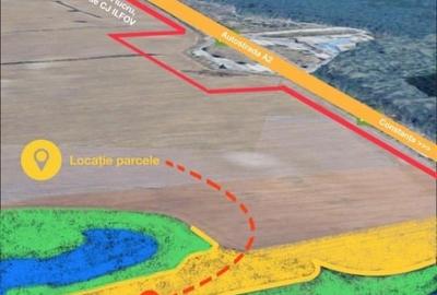 Teren agricol intravilan de 40665 mp, în Cernica