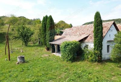 Casă cu Teren 1138 Mp în Moardăș - 14