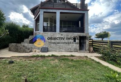 Vila Piatra Neamt-Ciritei - 2