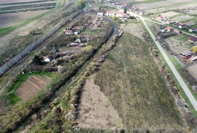 Teren intravilan Balint 22.500 mp - 6